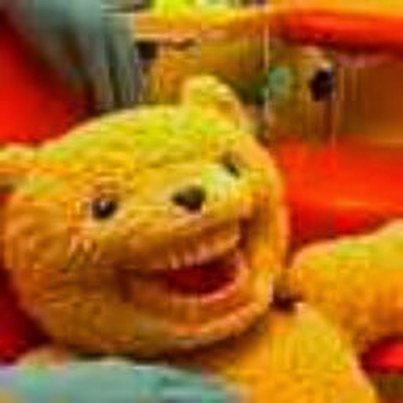 Meet your Posher, Katie - Picture 1 of 1